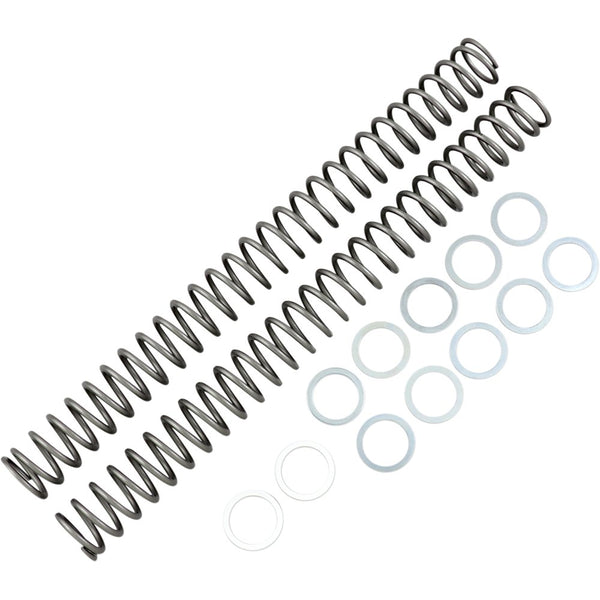 Race Tech Fork Springs - 0.46 kg/mm FRSP 434646
