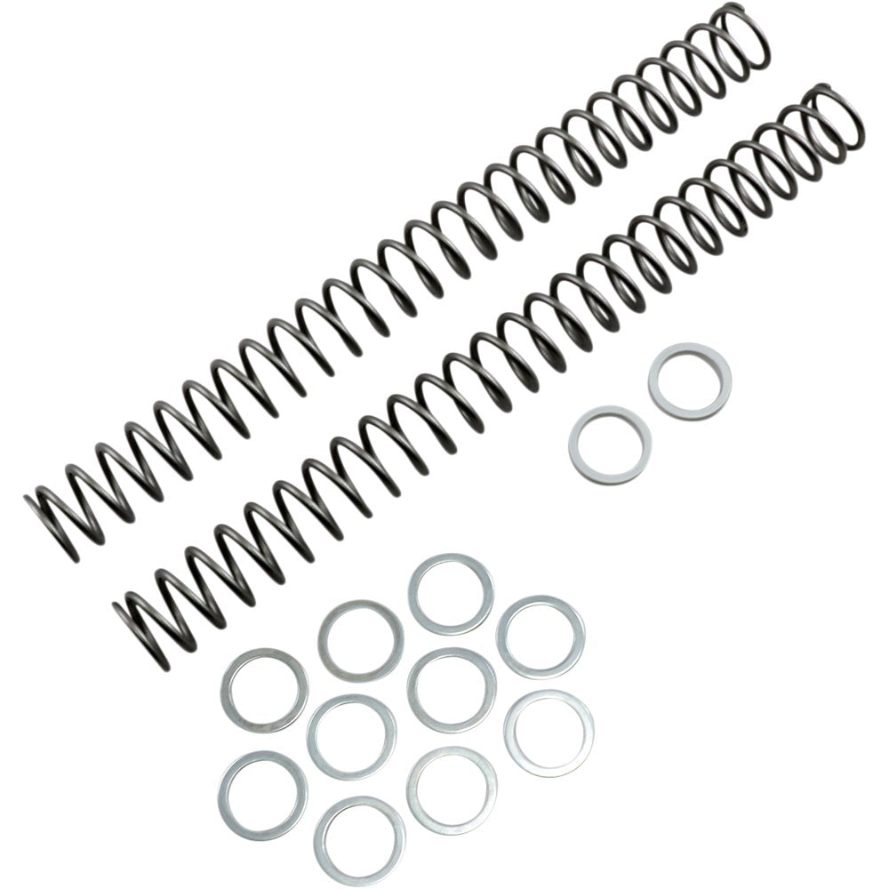 RACE TECH Fork Springs - 0.40 kg/mm FRSP 434640