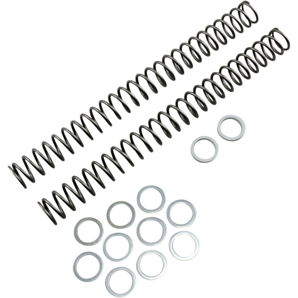 Race Tech Fork Springs - 0.40 kg/mm FRSP 434640