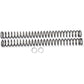 RACE TECH Fork Springs - 0.42 kg/mm FRSP 444942