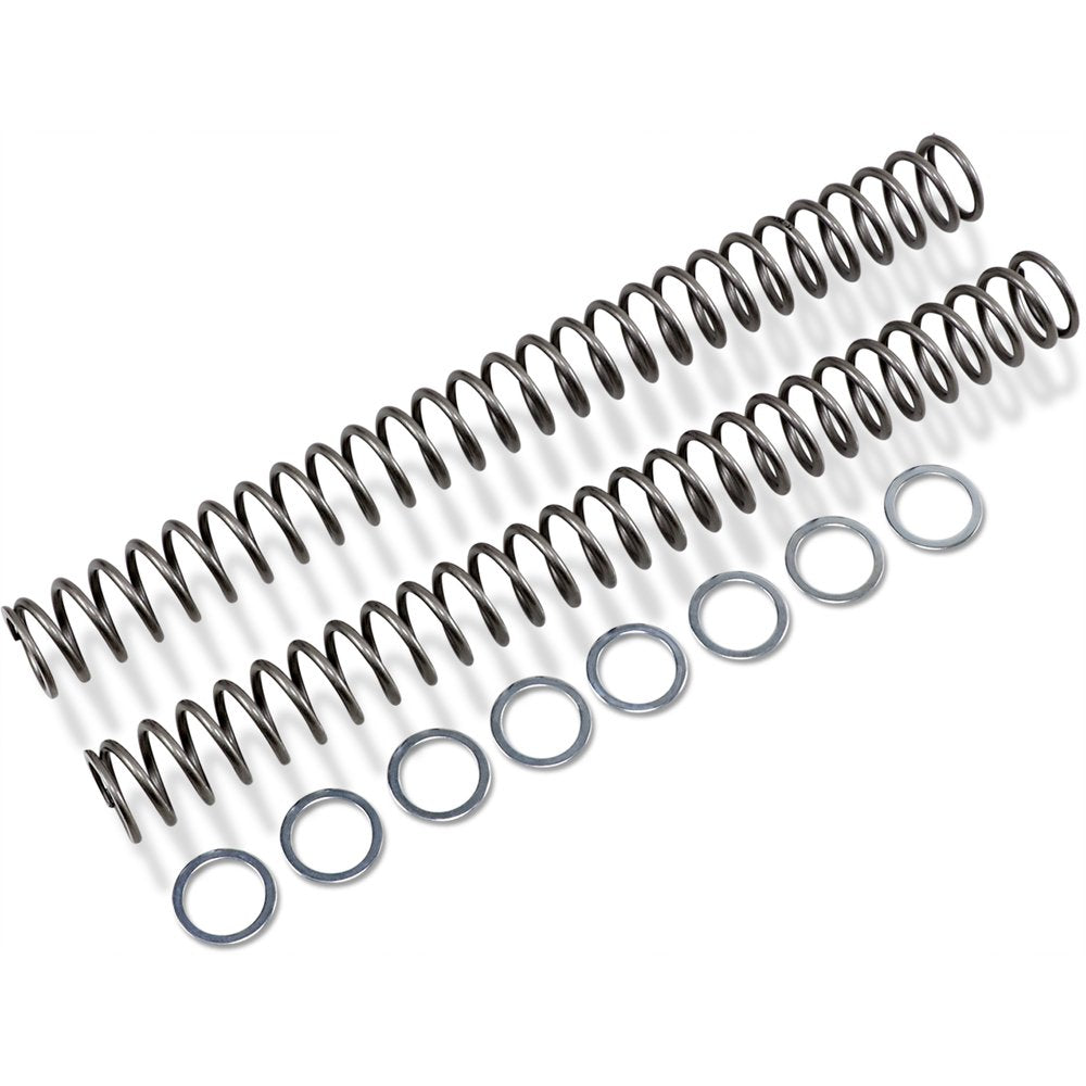 RACE TECH Fork Springs - 0.52 kg/mm FRSP 454752