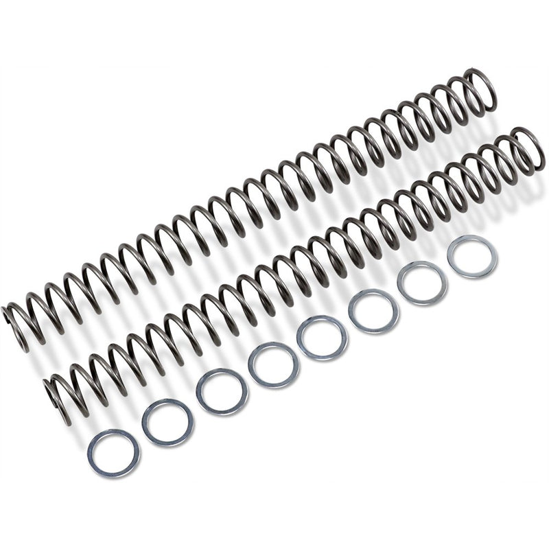 Race Tech Fork Springs - 0.52 kg/mm FRSP 454752
