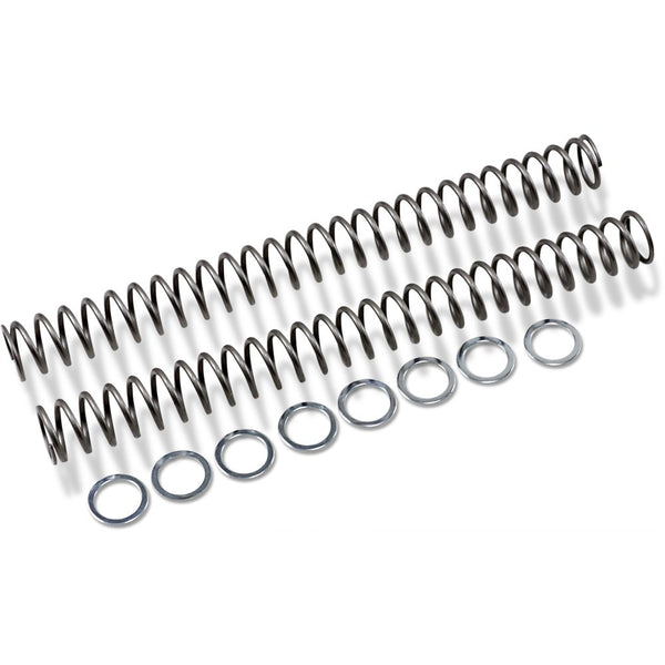 Race Tech Fork Springs - 0.50 kg/mm FRSP 454750