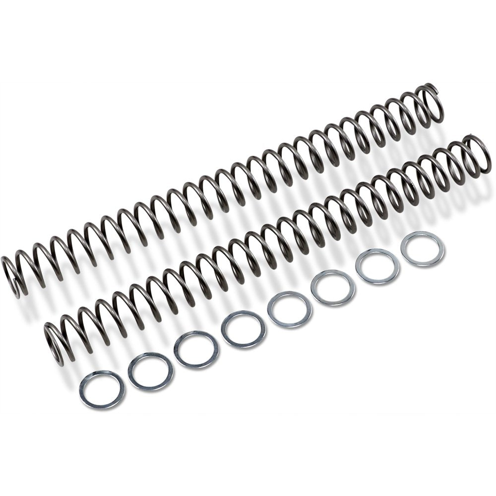 RACE TECH Fork Springs - 0.54 kg/mm FRSP 454754