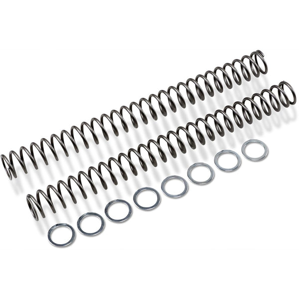 Race Tech Fork Springs - 0.54 kg/mm FRSP 454754