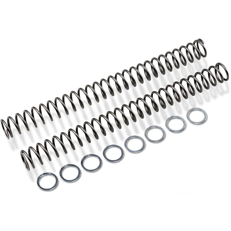 Race Tech Fork Springs - 0.54 kg/mm FRSP 454754