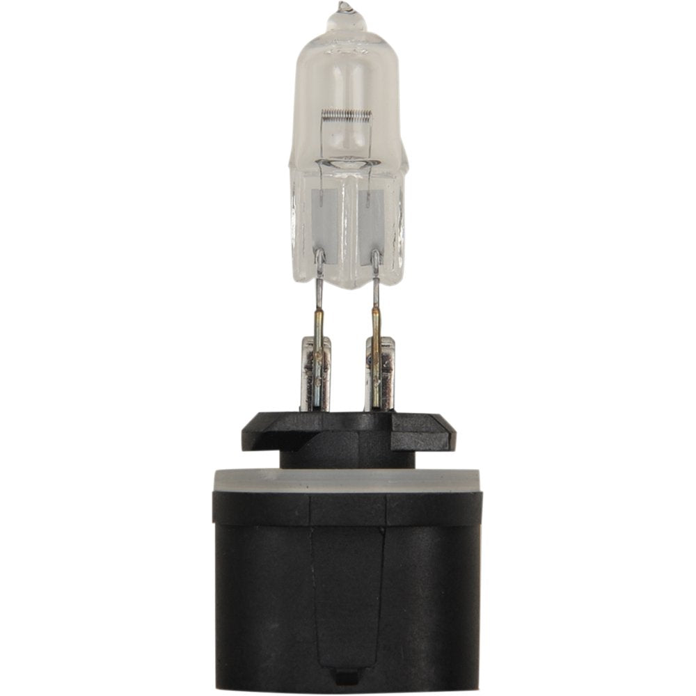 PEAK LIGHTING Halogen Bulb - 885 - 50W 885-BPP – SistersMoto