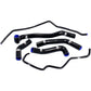 SAMCO SPORT Radiator Hose Kit - Black - Triumph TRI-11-BK