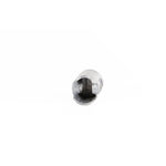 Piston Kit 66.00/Std Hon