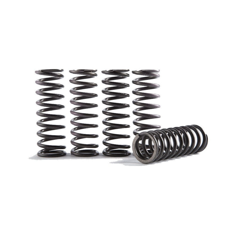 High Temp Springs 5 Springs