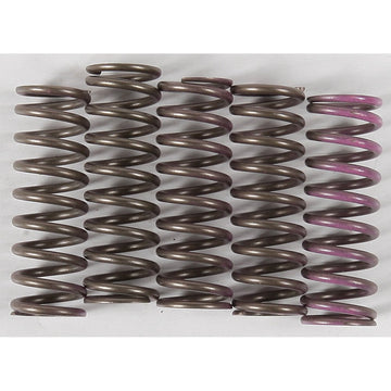 High Temp Springs 5 Springs