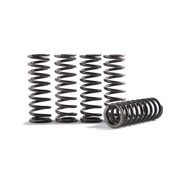 Hi Temp Clutch Spring Kit Yz250f '14 17 250fx '15 16