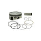 Piston Kit 99.44/+0.50 Pol
