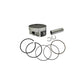 Piston Kit 99.65/+0.50 Pol