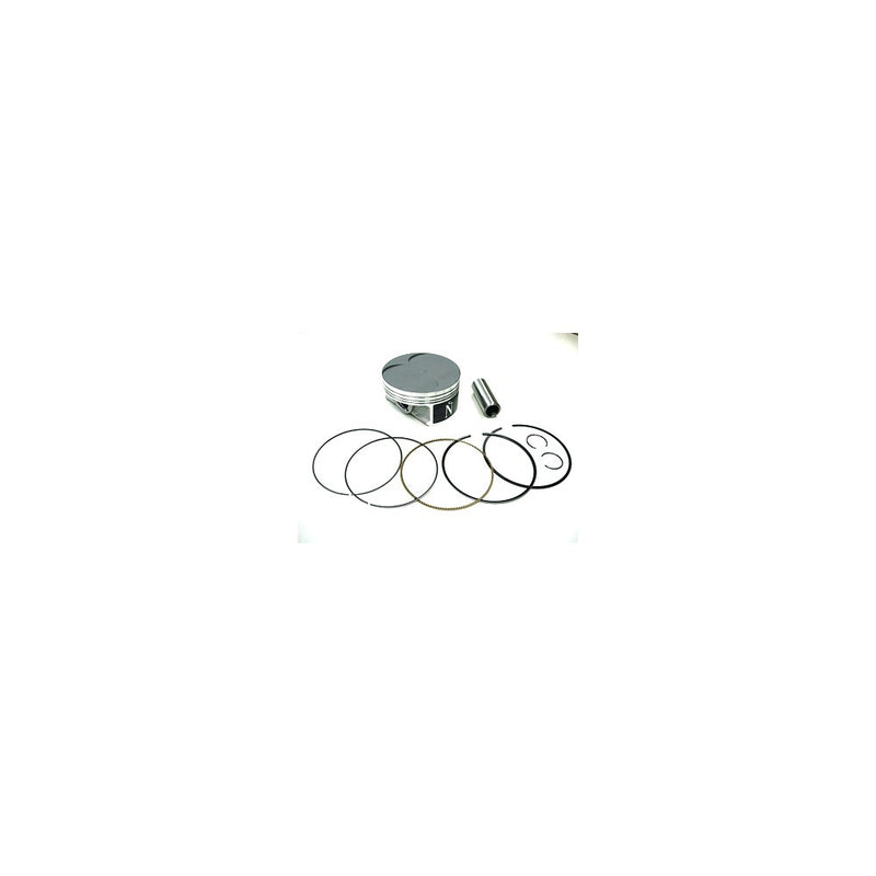 Piston Kit 99.15/Std Pol