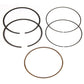 Piston Rings 101.96mm Ac/Suz For Namura Pistons Only