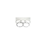 Piston Rings 99.95mm Hon For Namura Pistons Only