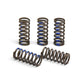 Clutch Springs