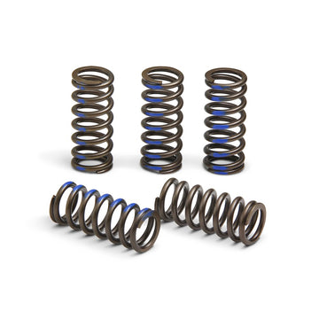 Clutch Springs