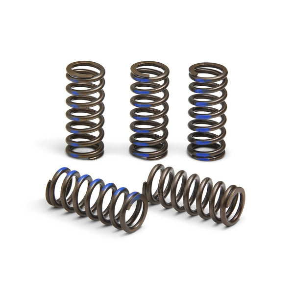 Clutch Springs
