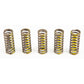 Clutch Springs