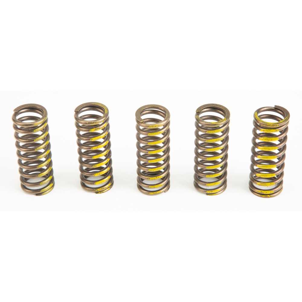 Clutch Springs