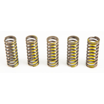 Clutch Springs