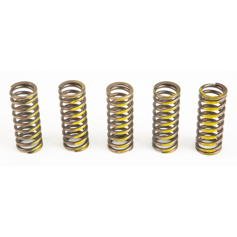 Clutch Springs
