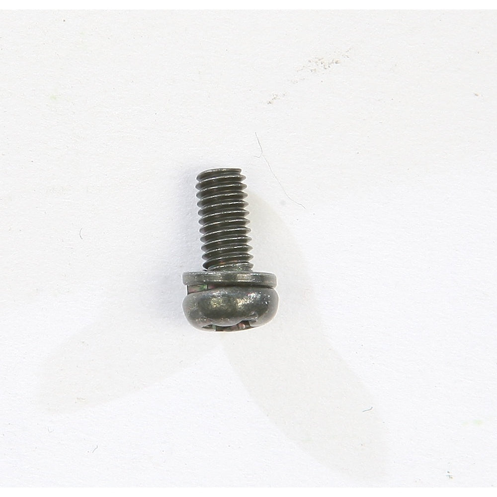 Screw W/Washer