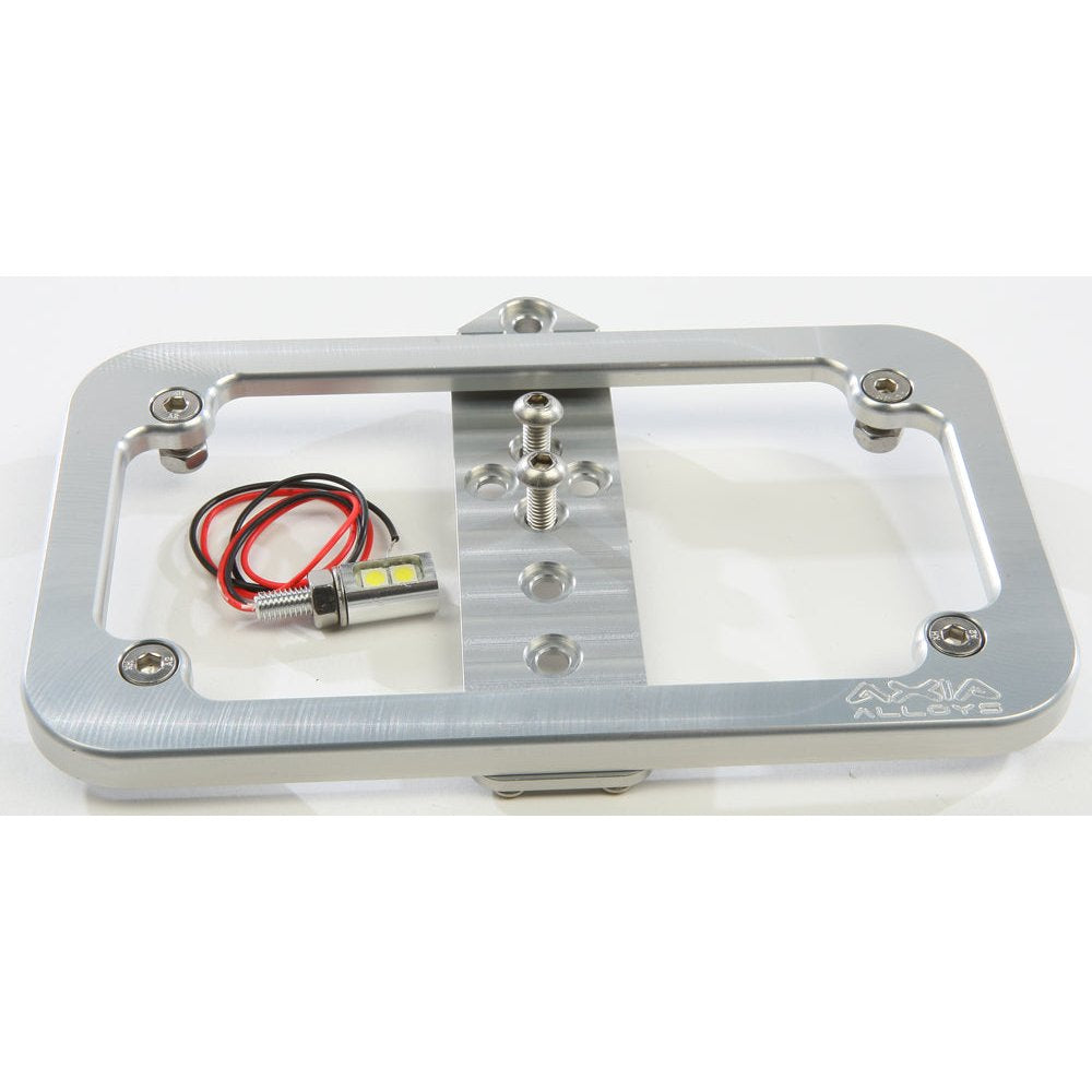 Lighted License Plate Frame