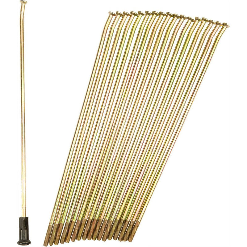 Double Butted Spokes Gold/Black Rear 19" 36/Pk