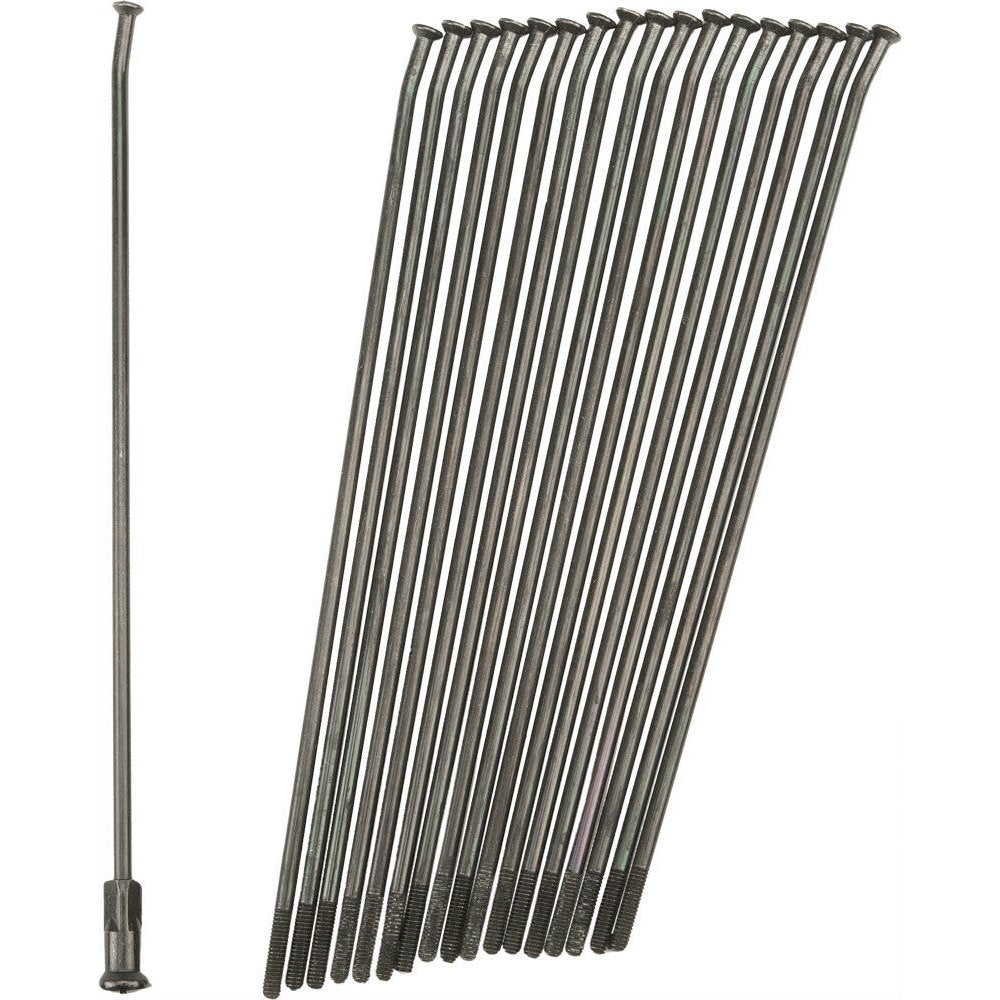 Double Butted Spokes Black/Black Rear 19" 36/Pk