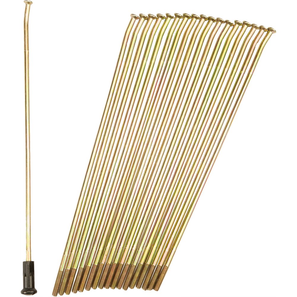 Double Butted Spokes Gold/Black Rear 19" 36/Pk