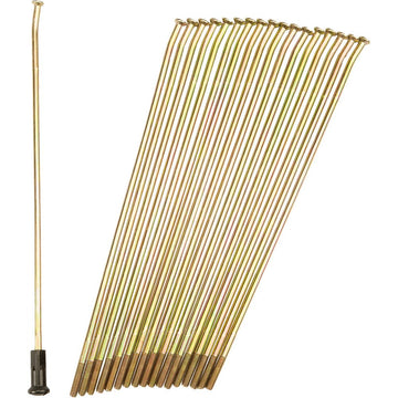 Double Butted Spokes Gold/Black Rear 19" 36/Pk