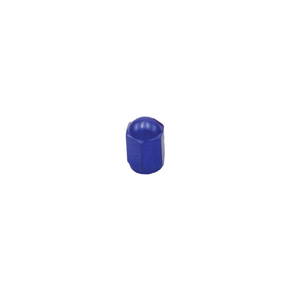 Air Valve Caps Blue 2/Pk