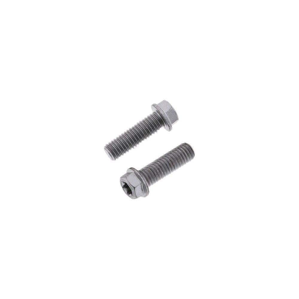 Euro Torx Flange Bolt 8x.1.25x25mm 10/Pk