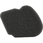 Air Filter Hon