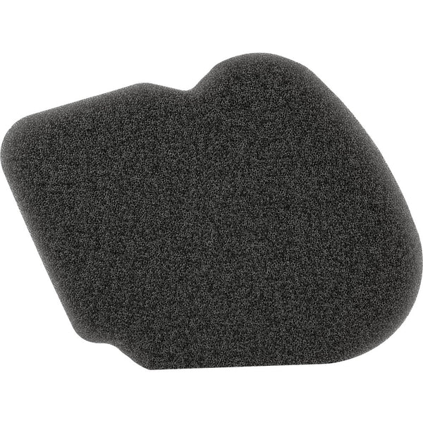 Air Filter Hon