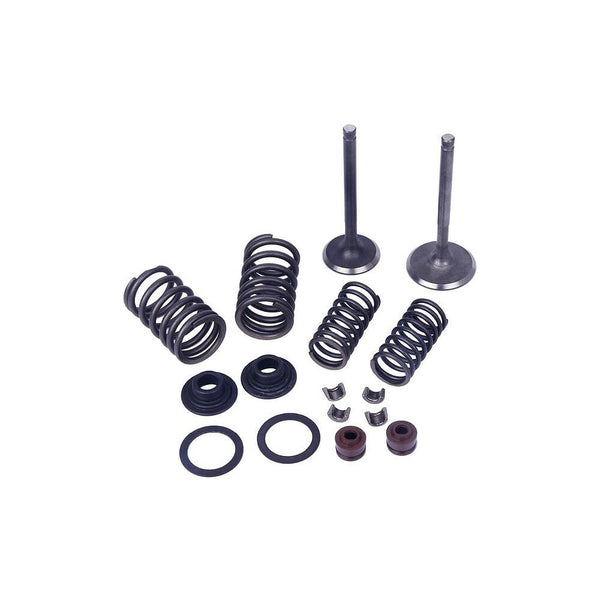 Valve Kit V 250