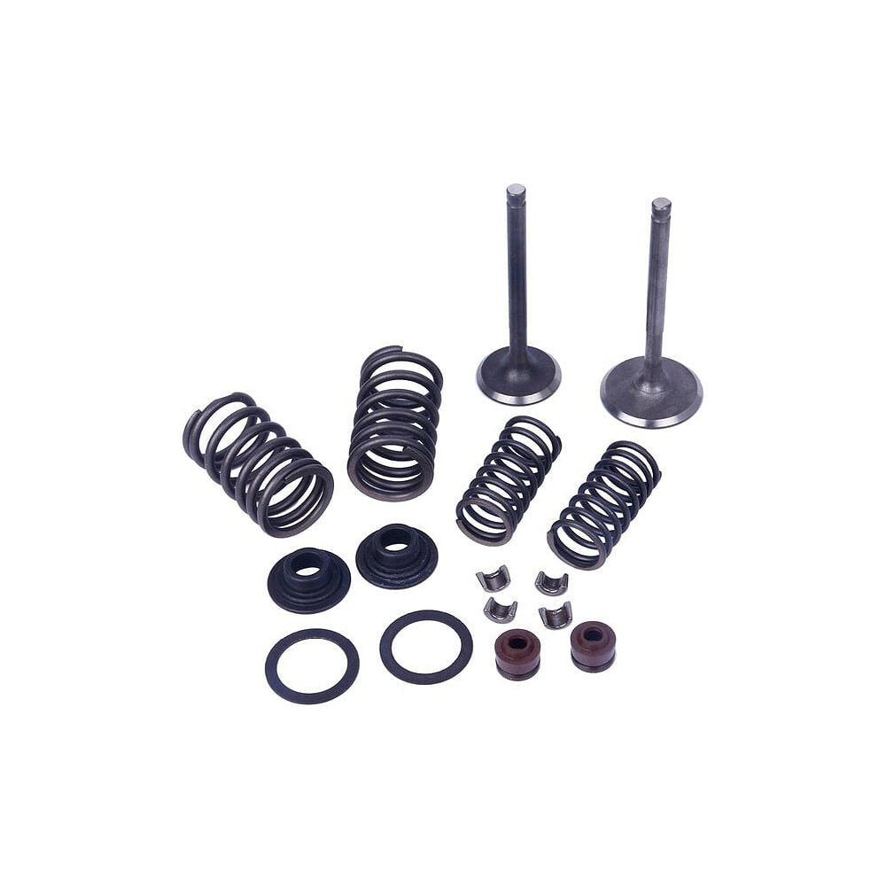 Valve Kit V 200