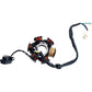 4 Stroke 6 Coil Magneto/Stator 50/90/110/125cc Electric Start