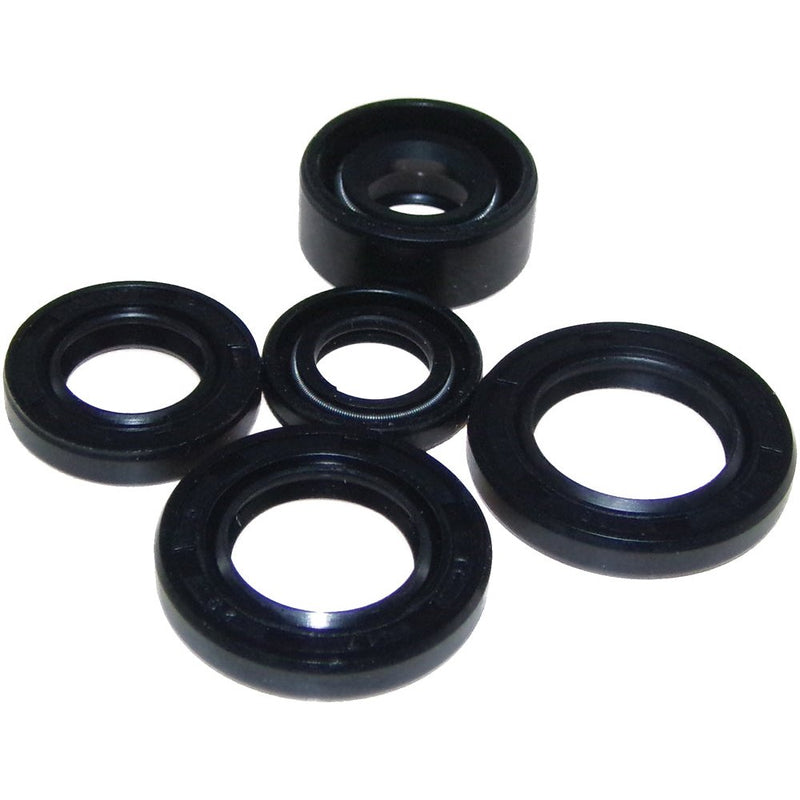 Oil Seal Kit