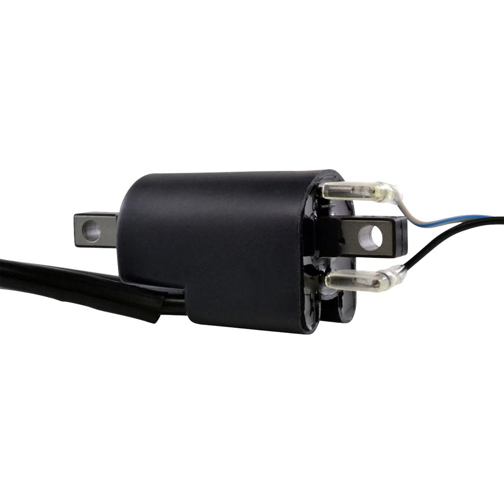 RM STATOR Ignition Coil - External RM06022