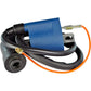 RM STATOR Ignition Coil - External RM06003