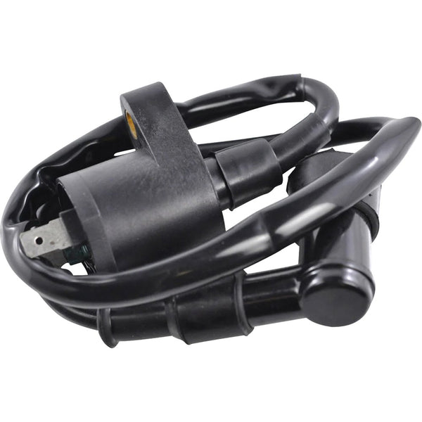 RM STATOR Ignition Coil - External RM06001