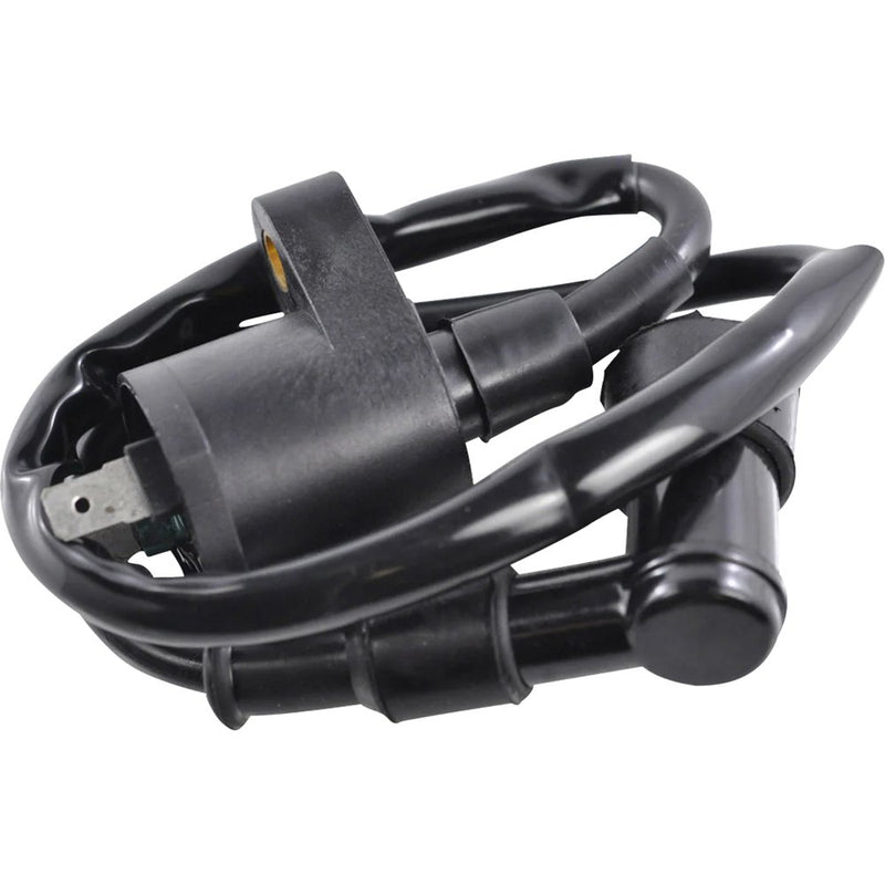 RM STATOR Ignition Coil - External RM06001