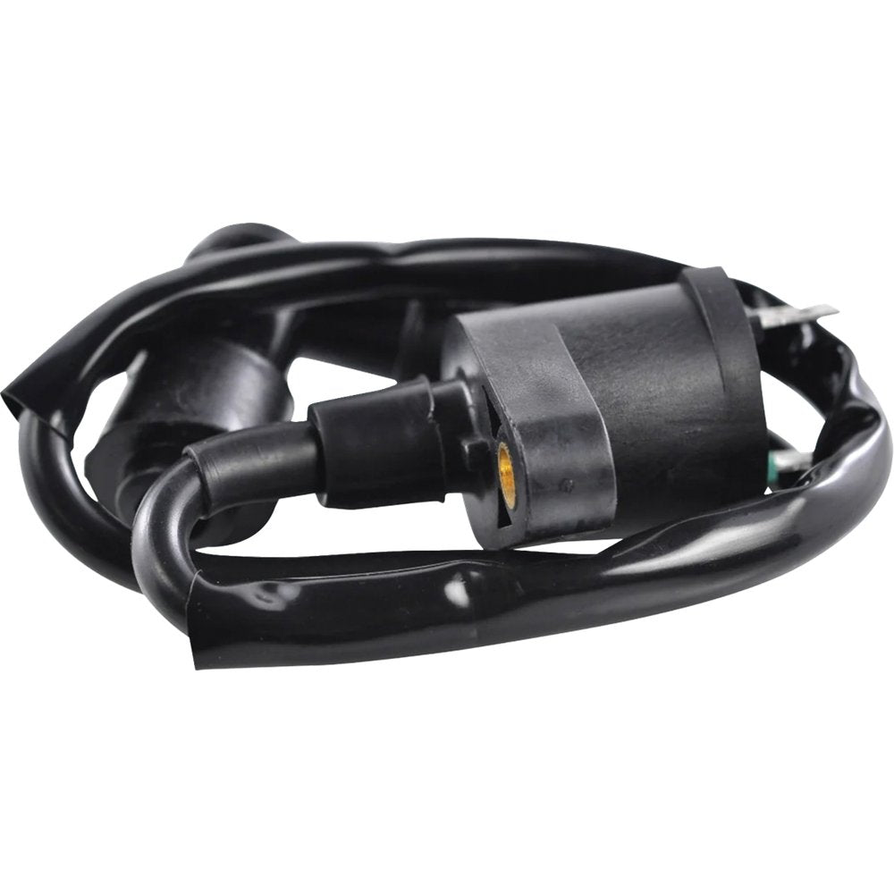 RM STATOR Ignition Coil - External RM06001