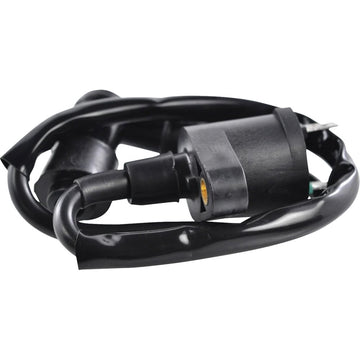 RM STATOR Ignition Coil - External RM06001