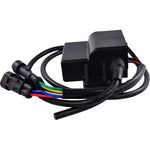 RM STATOR Ignition Controller Coil - Polaris RM02500