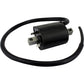 RM STATOR Ignition Coil - External - Suzuki/Yamaha RM06168